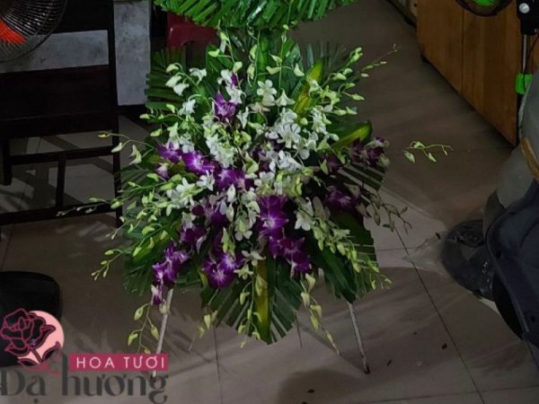 ke-hoa-chia-buon-ms01-2